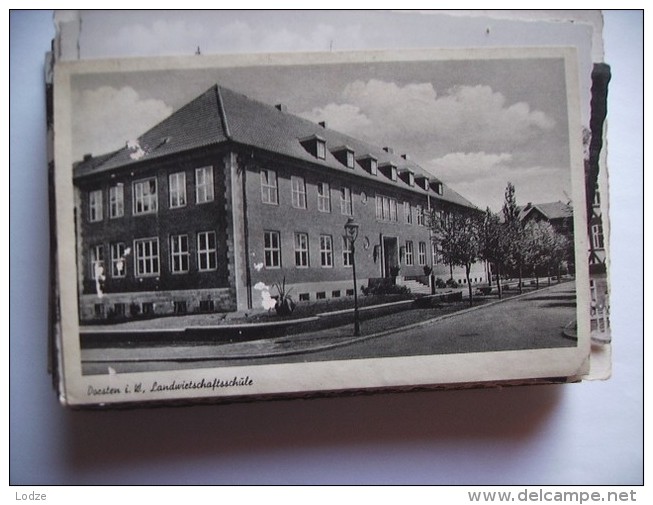 Duitsland Deutschland Nordrhein Westfalen Dorsten Schule - Dorsten