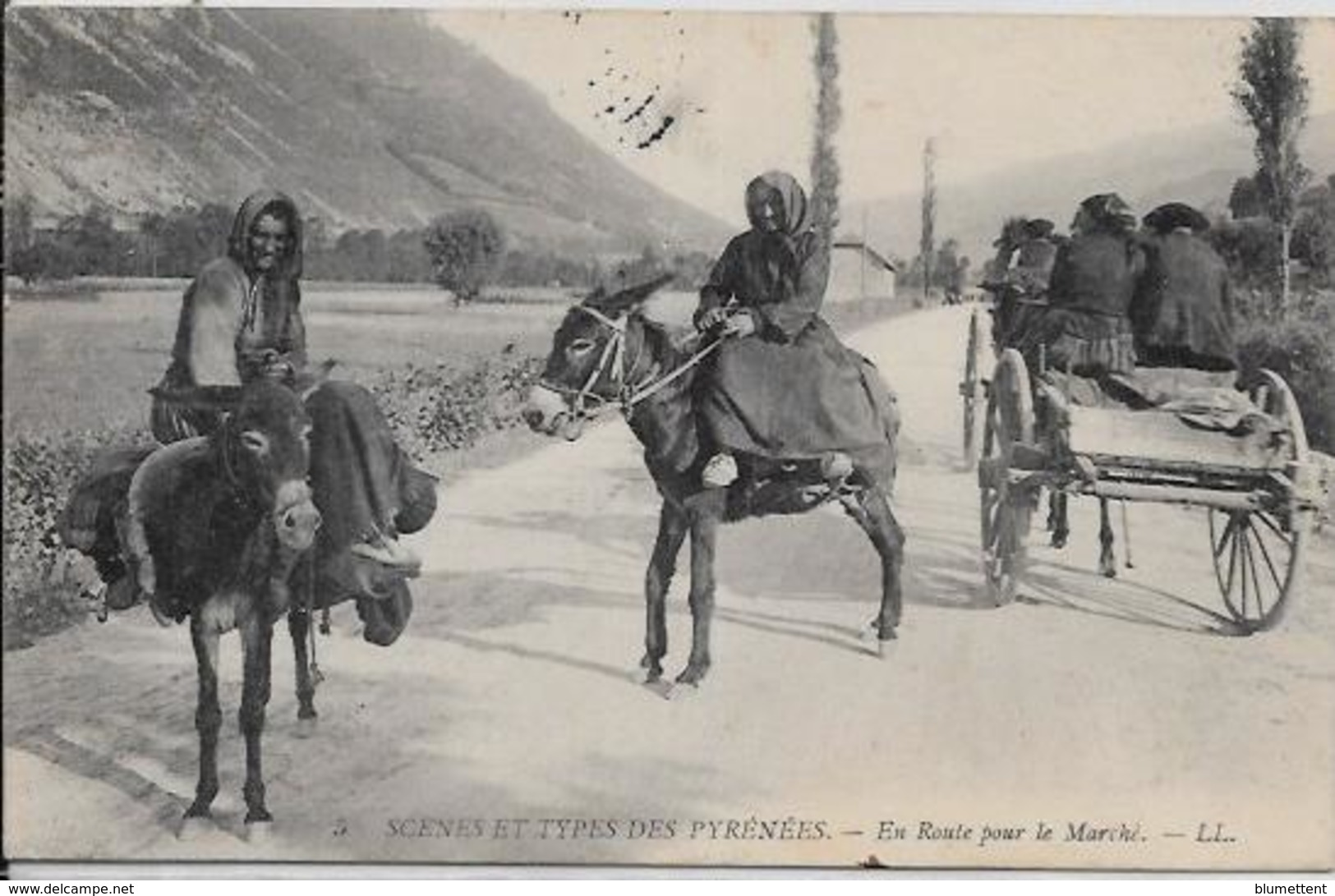 CPA Types Des Pyrénées Circulé Métier Ane Donkey - Midi-Pyrénées