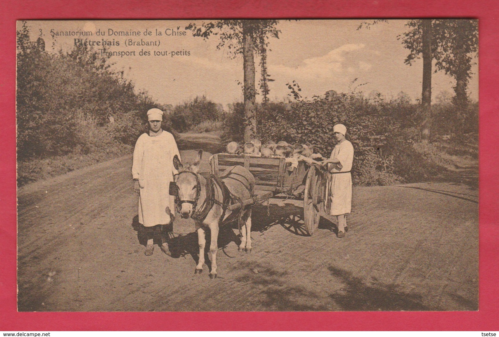 Pietrebais -Sanatorium Du Domaine De La Chise -Tout-petits Transportés Par Une Charrette Tirée Par Un âne ( Voir Verso ) - Incourt