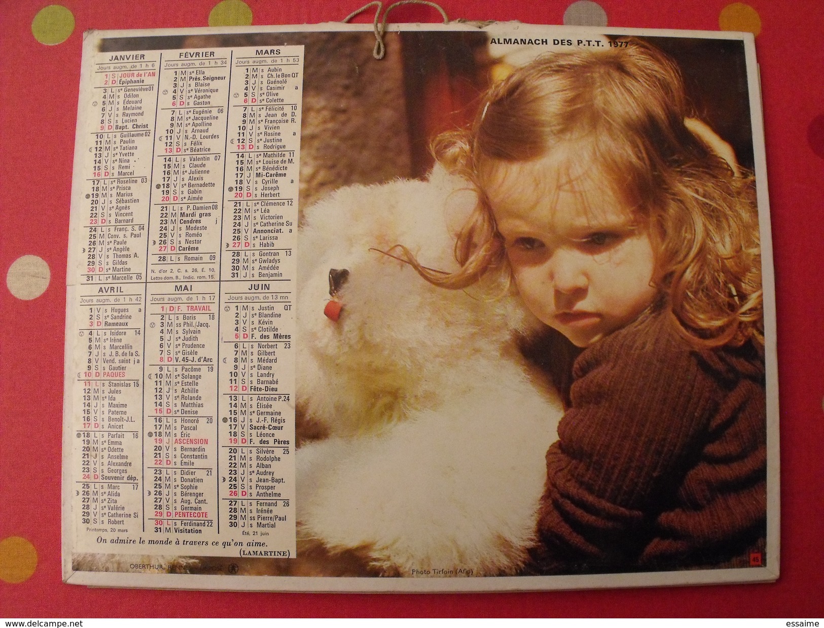 Calendrier Illustré En Carton De 1977. Almanach Des PTT Postes Facteur. Jean Lavigne. Chien Pigeon Enfant - Groot Formaat: 1971-80