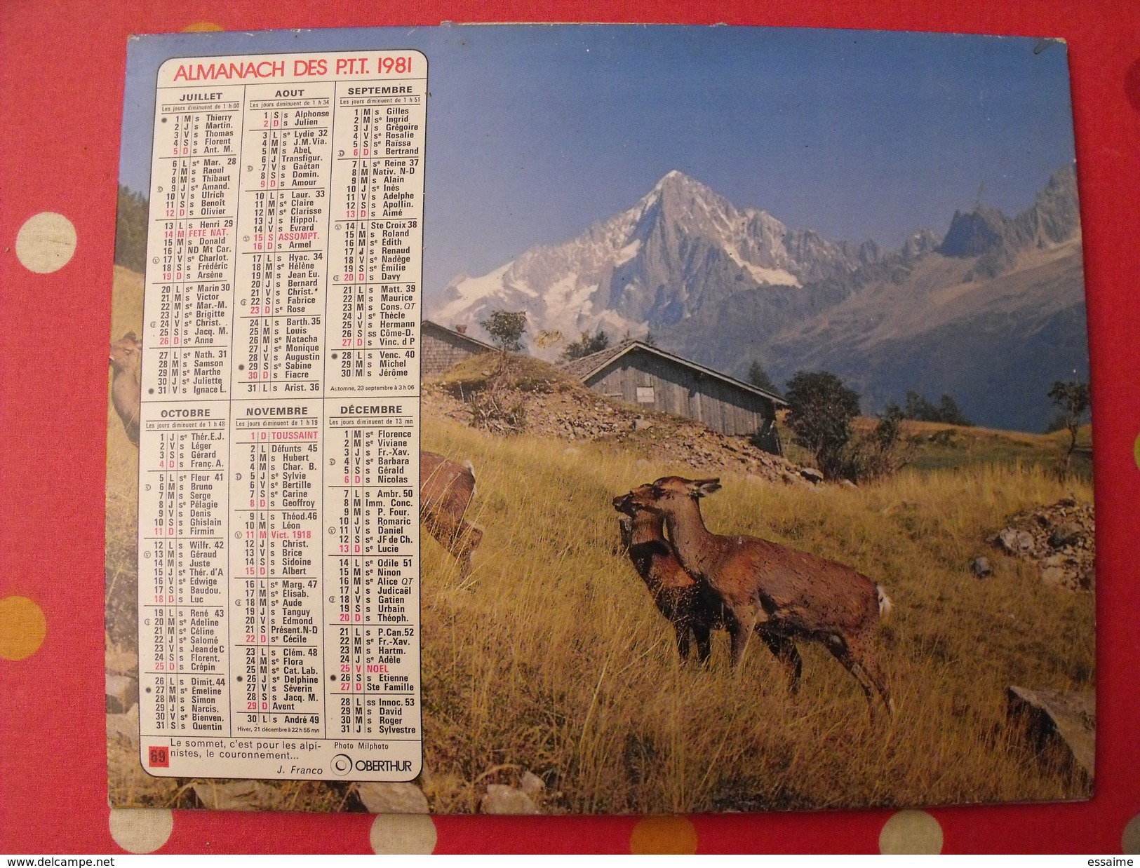 Calendrier Illustré En Carton De 1981. Almanach Des PTT Postes Facteur. Montagne Biche - Grand Format : 1981-90