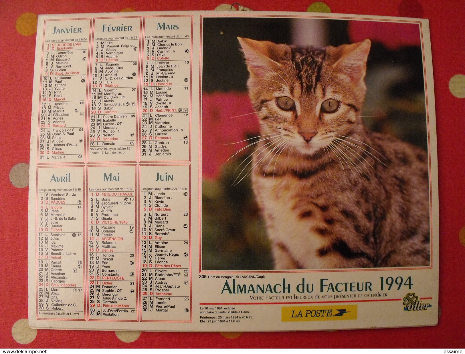 Calendrier Illustré En Carton De 1994. Almanach Des PTT Postes Facteur. Chien Chat - Grossformat : 1991-00