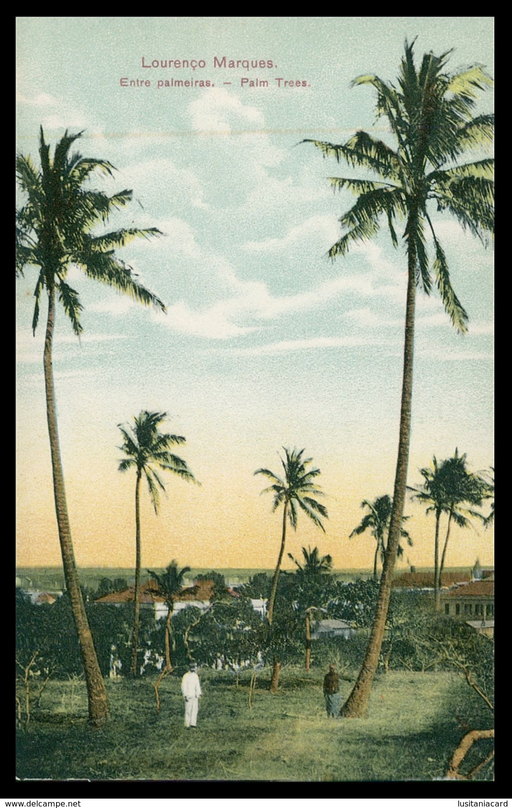 LOURENÇO MARQUES - Entre Palmeiras ( Ed. Spanos & Tsitsias Nº 4751) Carte Postale - Mozambique