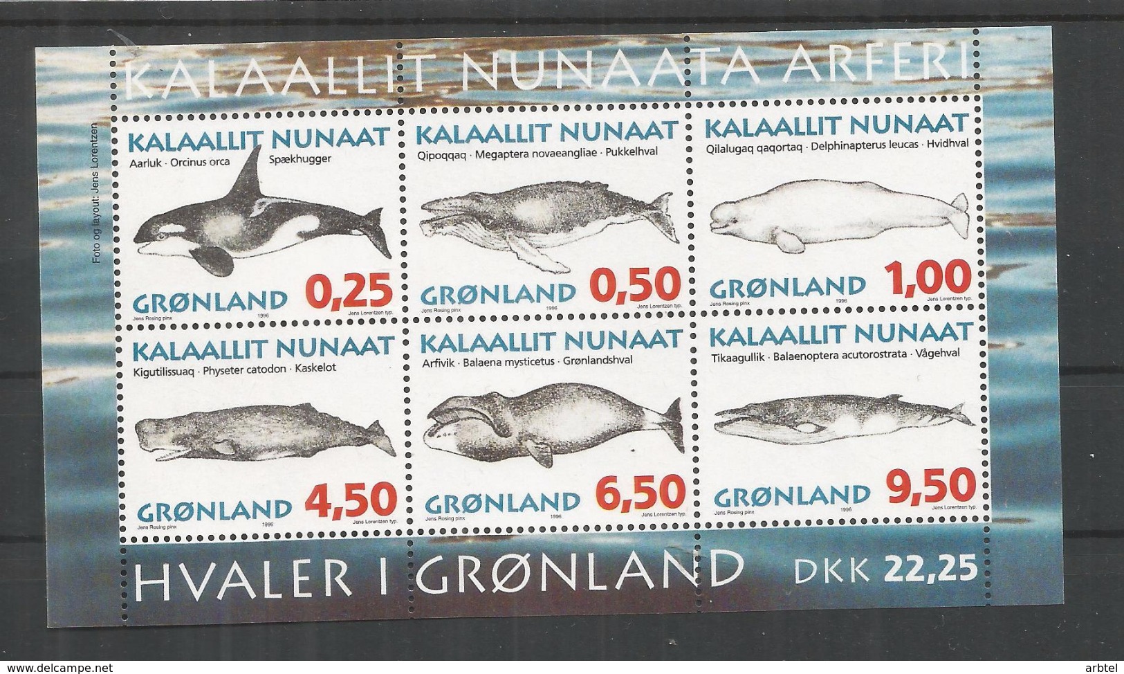 GROENLANDIA GRONLAND FAUNA MARINA MAMIFERO BALLENA WHALE - Arctic Tierwelt