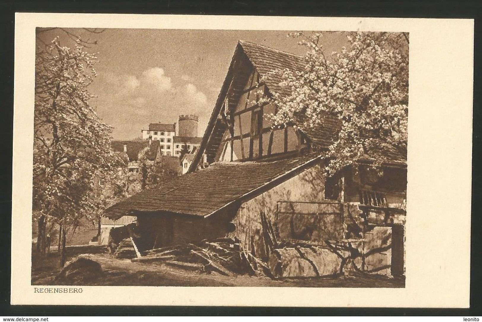 REGENSBERG ZH Detailansicht Kupferdruck Ca. 1920 - Regensberg