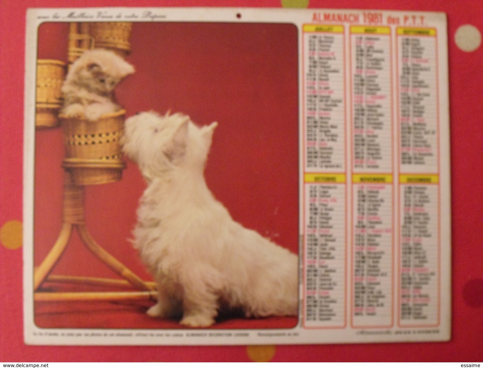 Almanach Des PTT. 1981. Mayenne Laval. Calendrier Poste, Postes Télégraphes. Chein Chat - Groot Formaat: 1971-80