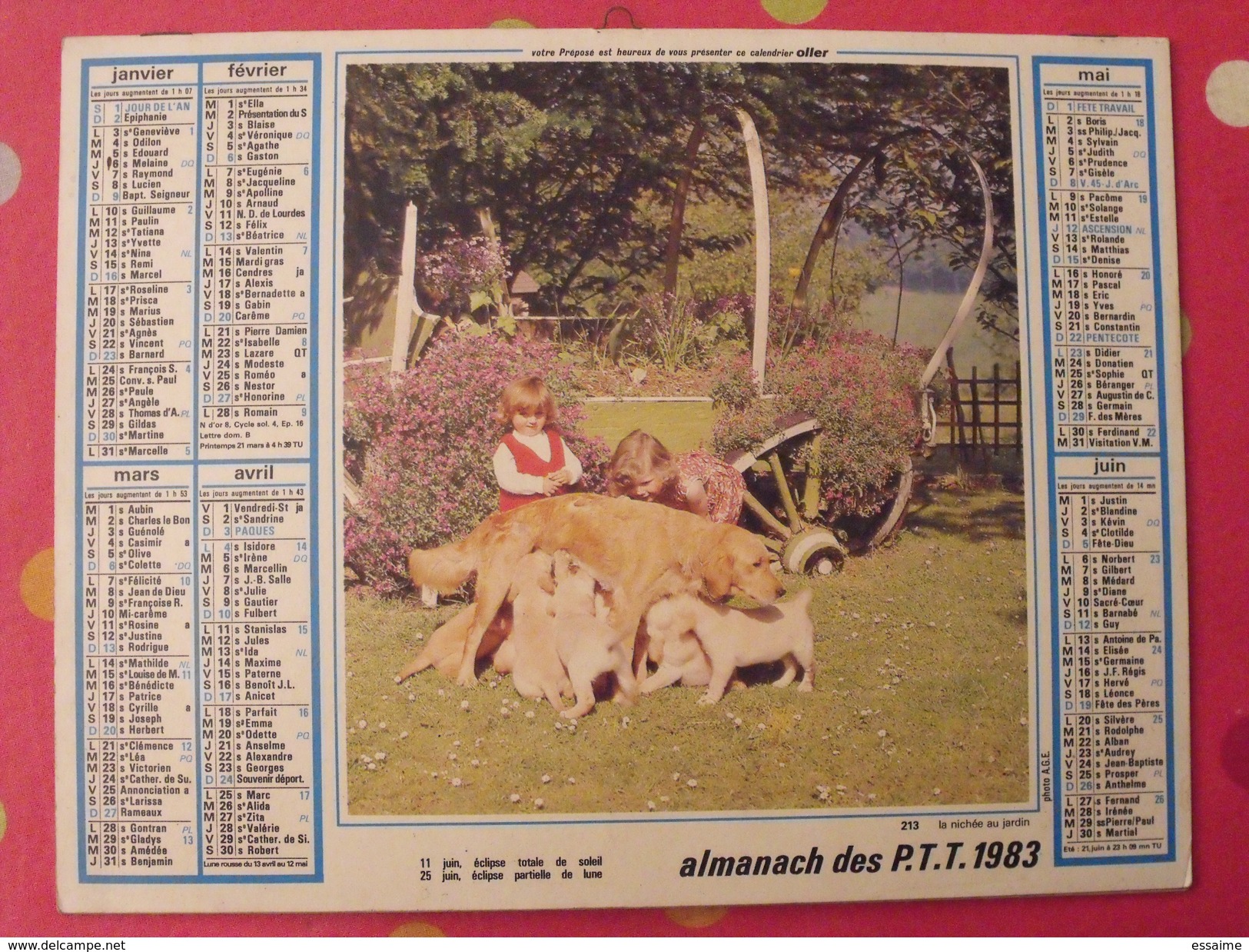 Almanach Des PTT. 1983. Mayenne Laval. Calendrier Poste, Postes Télégraphes. Mouton Chien Fillette - Groot Formaat: 1971-80