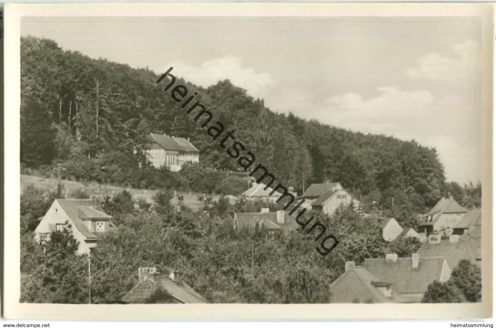 99752 Bleicherode - Waldhaus Japan - Foto-Ansichtskarte - VEB Volkskunstverlag Reichenbach 1958 - Bleicherode