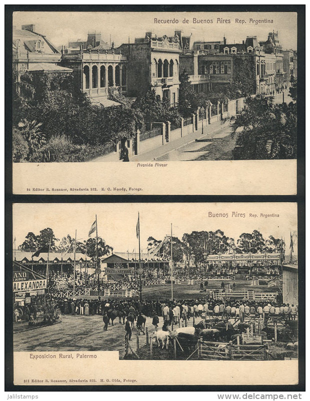 BUENOS AIRES: 2 Old PCs With Views Of Alvear Avenue And Rural Exposition, Circa 1905, Editor Rosauer, VF Quality! - Argentinië