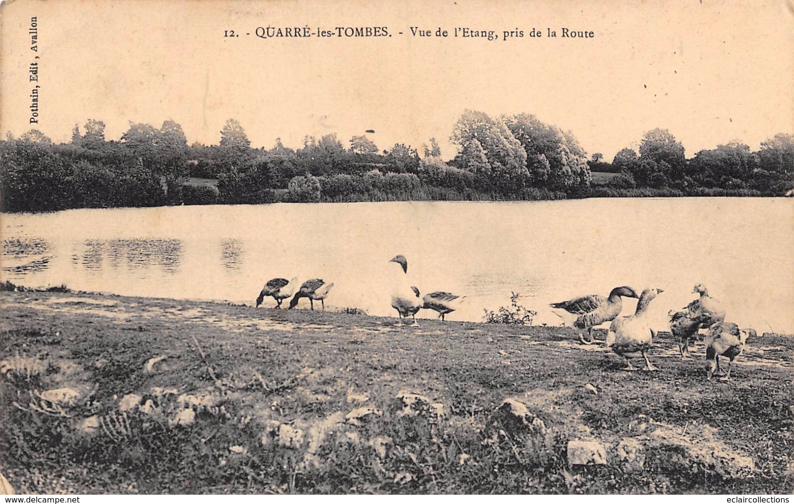 Quarré Les Tombes      89      Vue De L'étang -Oies  -   (voir Scan) - Quarre Les Tombes