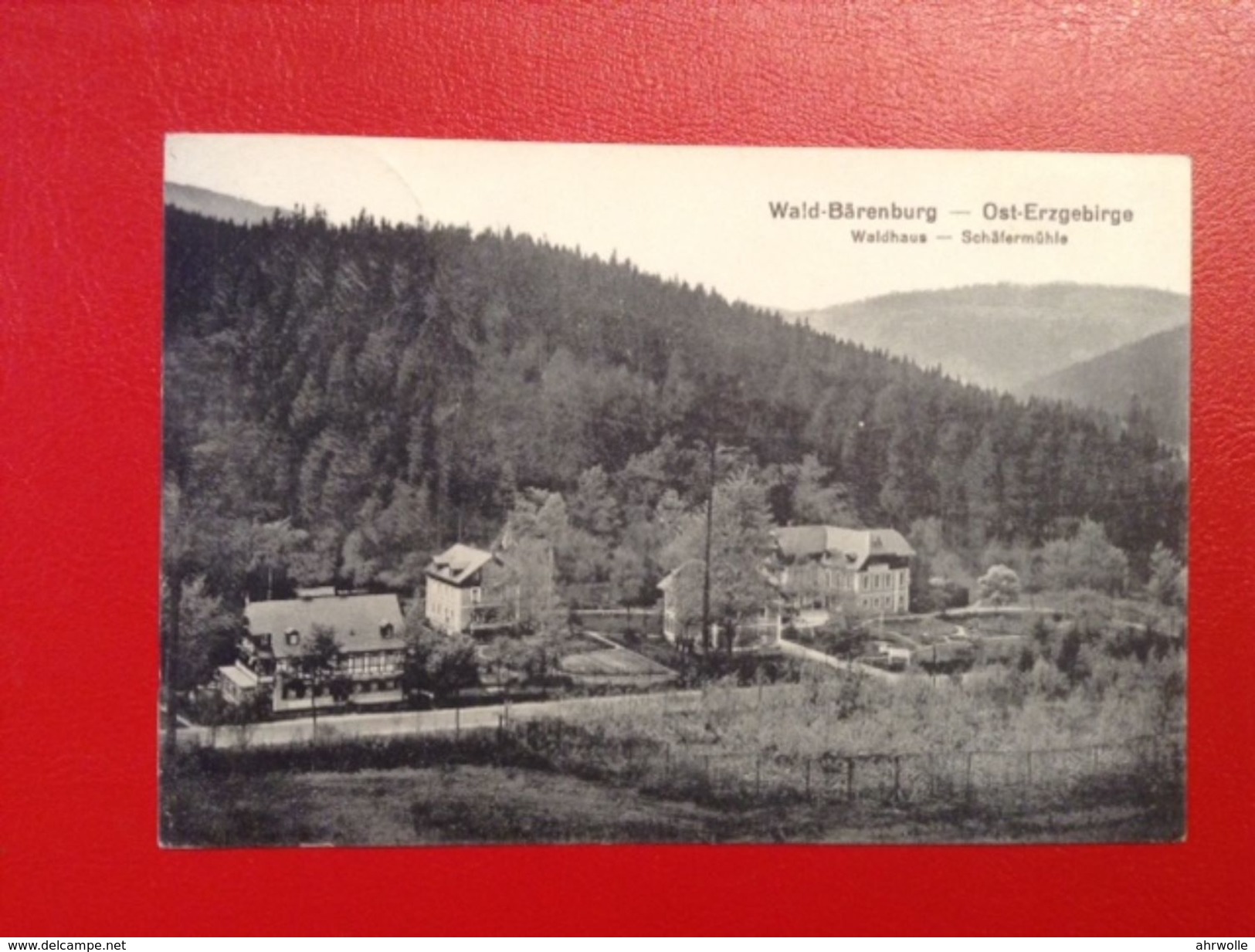 AK Wald-Bärenburg Ost-Erzgebirge Waldhaus Schäfermühle Stempel Kipsdorf 1931 - Kipsdorf