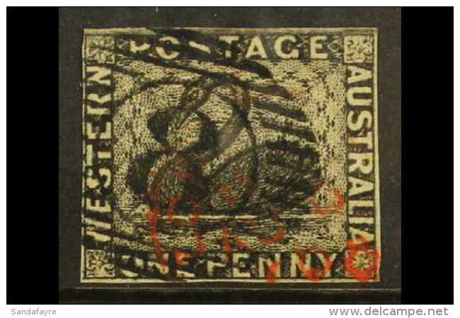 WESTERN 1854 1d Black "Swan" Imperf, SG 1, Very Fine Used With Clear Margins All Round And Neat Barred "8" Cancel.... - Altri & Non Classificati