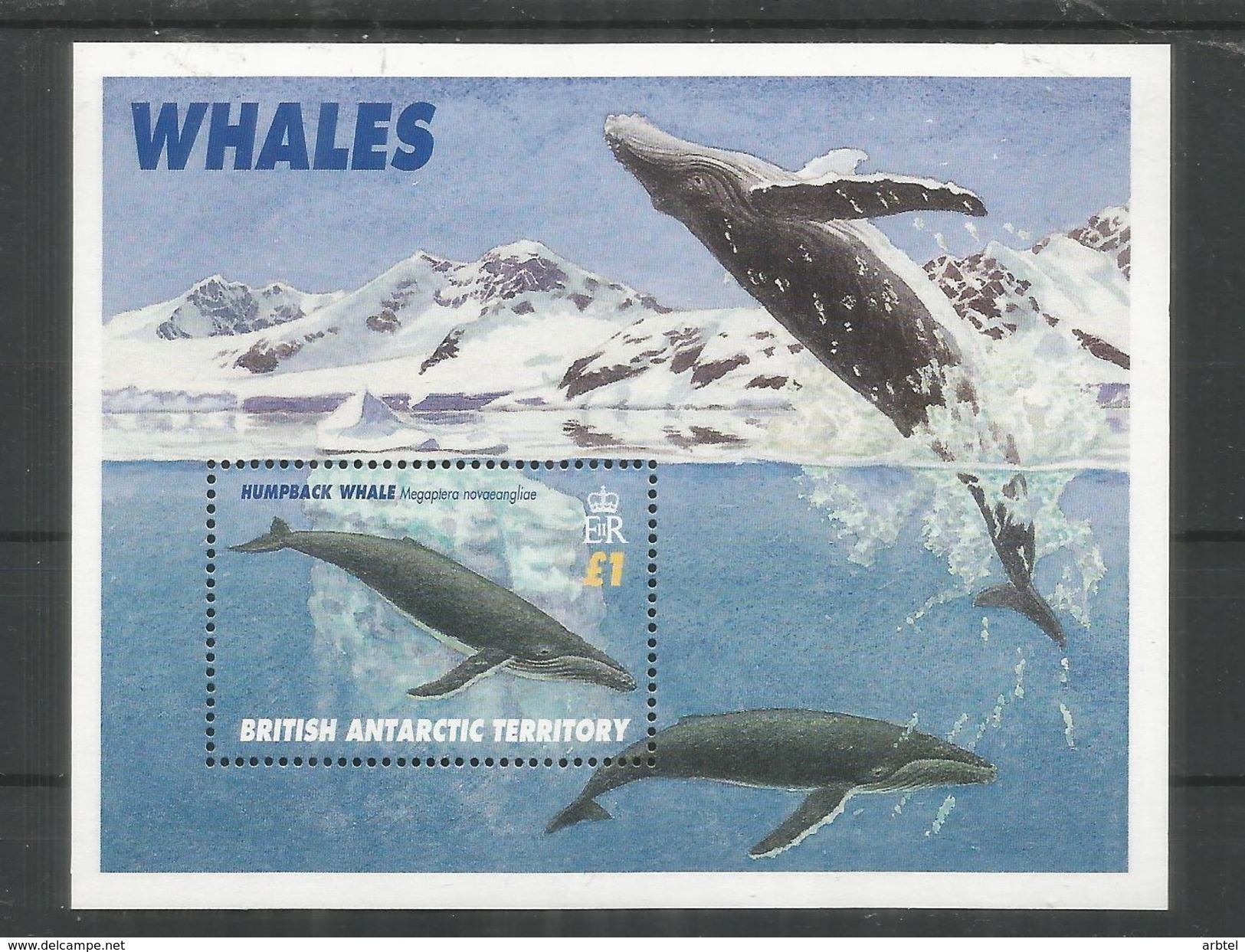 BRITISH ANTARCTIC TERRITORY  ANTARTIDA POLO SUR ANTARCTICA BALLENA WHALE MAMIFERO - Antarktischen Tierwelt