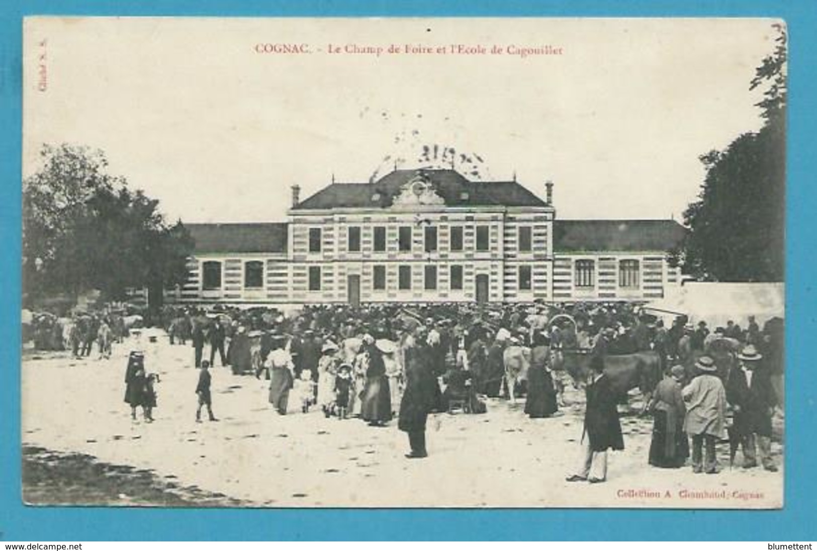 CPA - Métier Maquignons Marchands De Bestiaux Champ De Foire Et L'Ecole De Cagouillet COGNAC 16 - Cognac