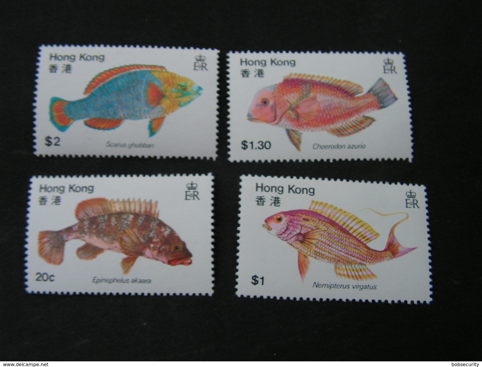 HK Fische ** MNH - Colecciones & Series