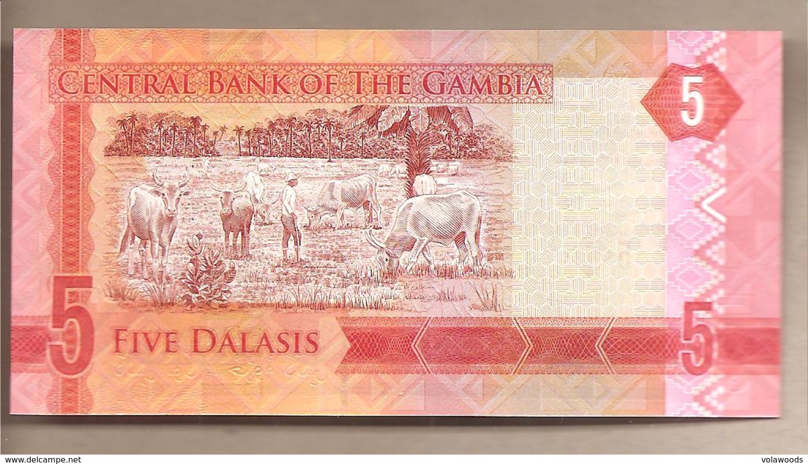 Gambia - Banconota Non Circolata FdS Da 5 Dalasis - 2015 - Gambia