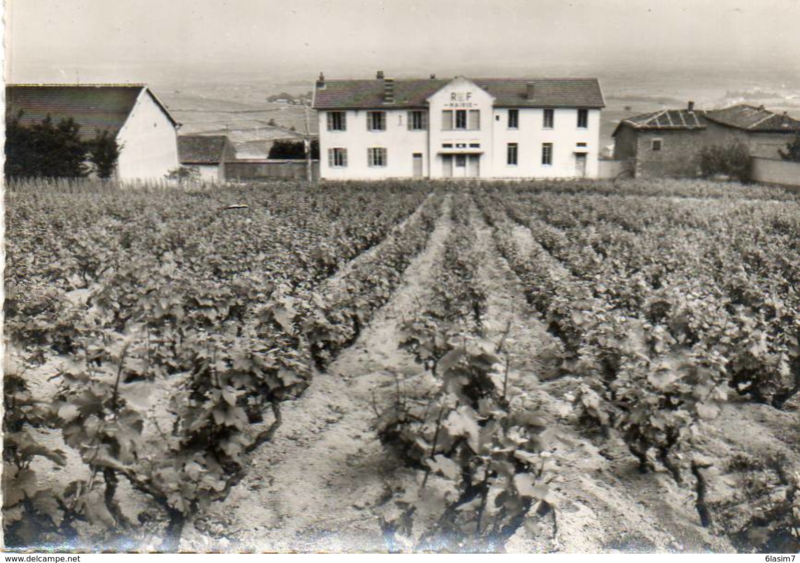 CPSM Dentelée -CHIROUBLES (69) - Aspect Du Groupe Scolaire , De La Mairie Et Du Vignoble Dans Les Années 50 - Chiroubles