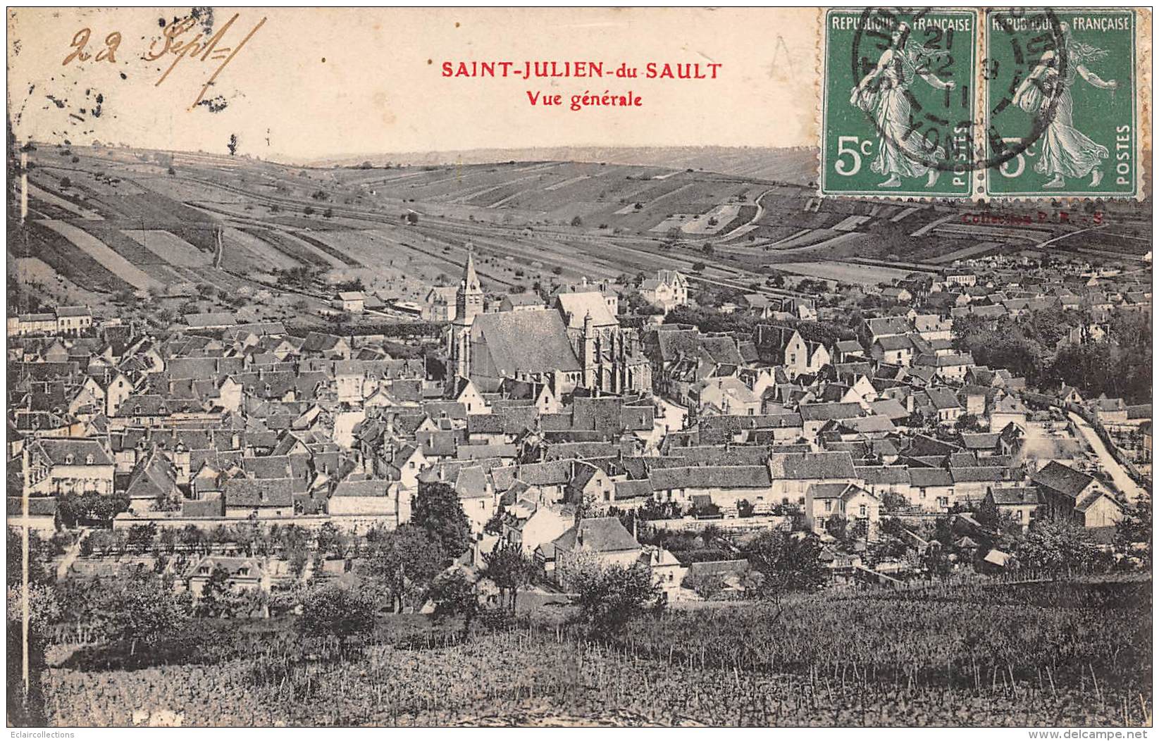 Saint Julien Du Sault     89       Vue Générale    (voir Scan) - Saint Julien Du Sault