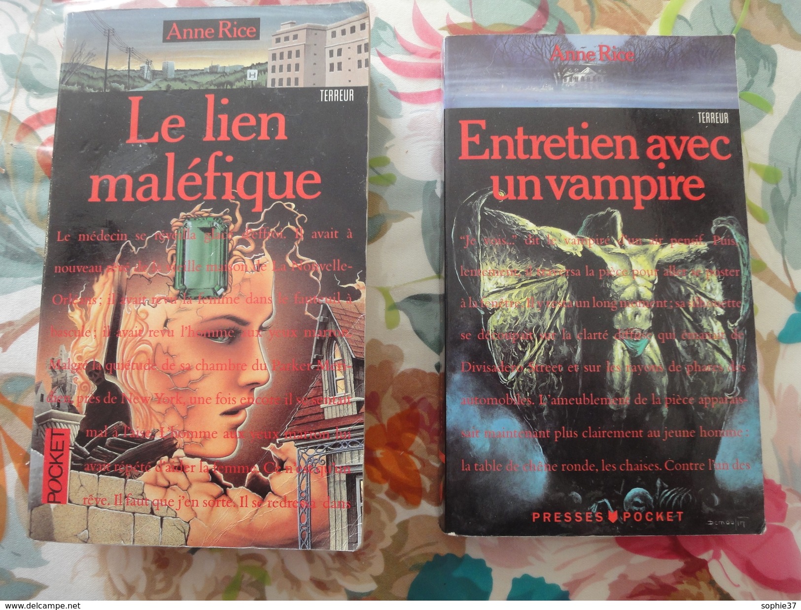 Lot De 2 Livres De Poche Presses Pocket- Thème Terreur Vampirisme - Wholesale, Bulk Lots