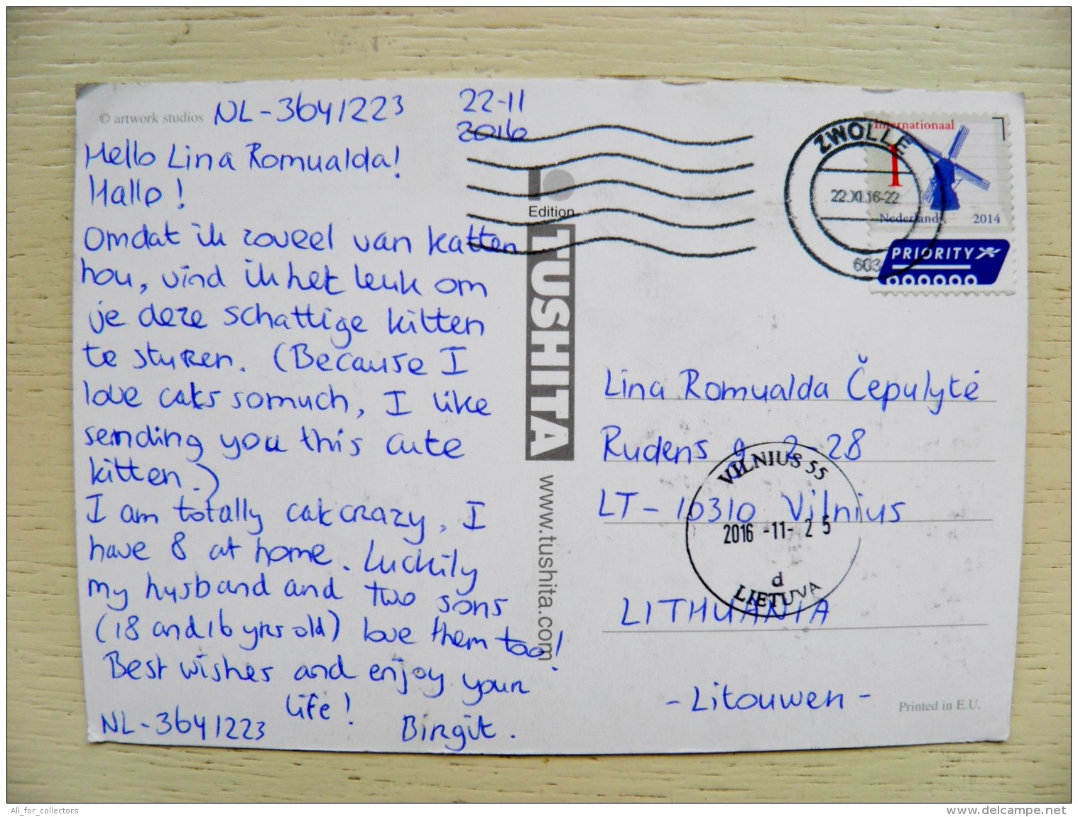 Post Card From Netherlands To Lithuania 2016 Mill Windmill Cat - Covers & Documents