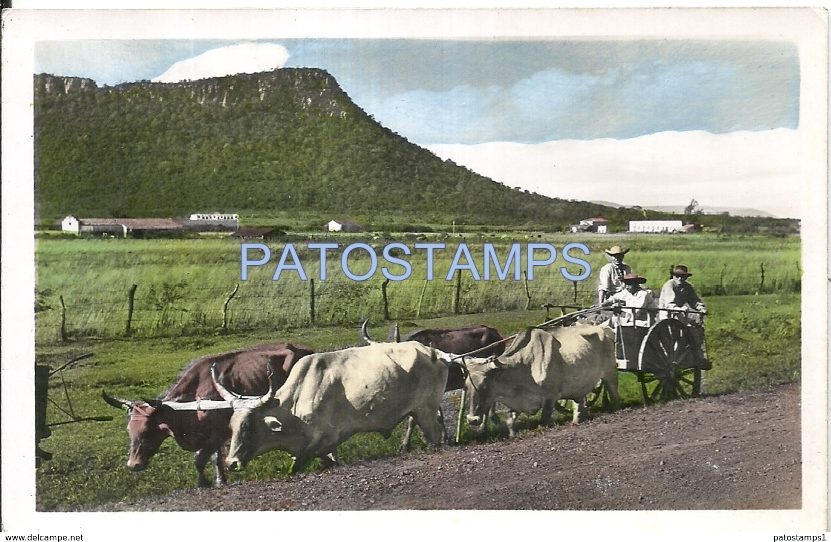 66102 PARAGUAY COSTUMES CART A COW CARRETA POSTAL POSTCARD - Paraguay