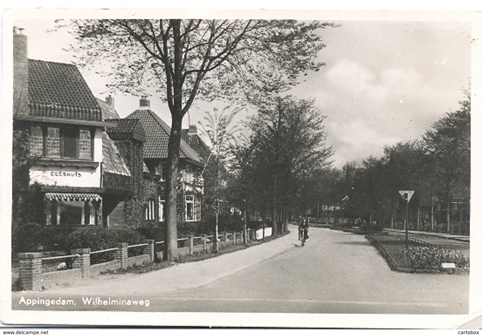 Appingedam, Wilhelminaweg - Appingedam