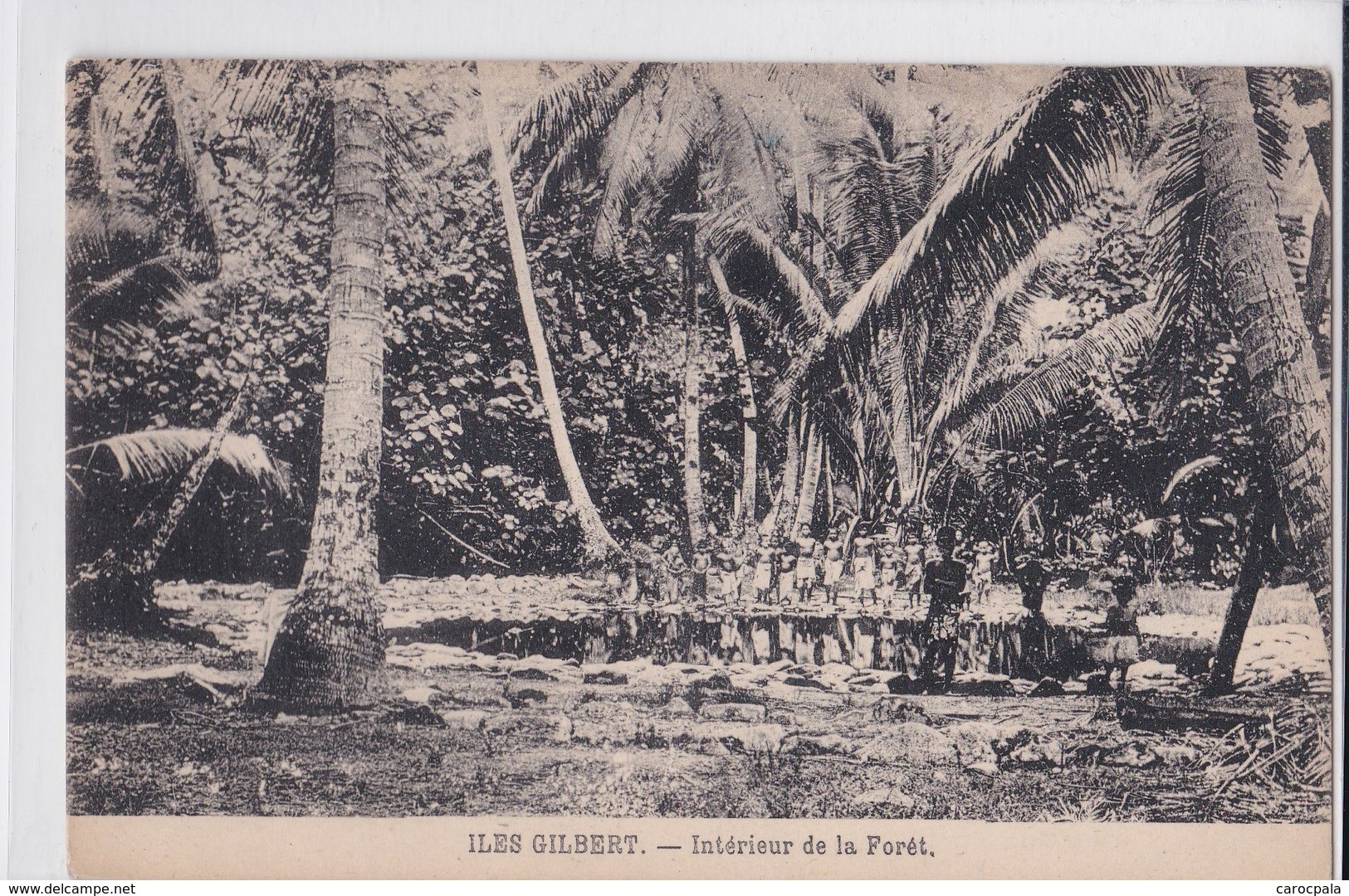 Carte 1915 ILES GILBERT / INTERIEUR DE LA FORET - Micronesia