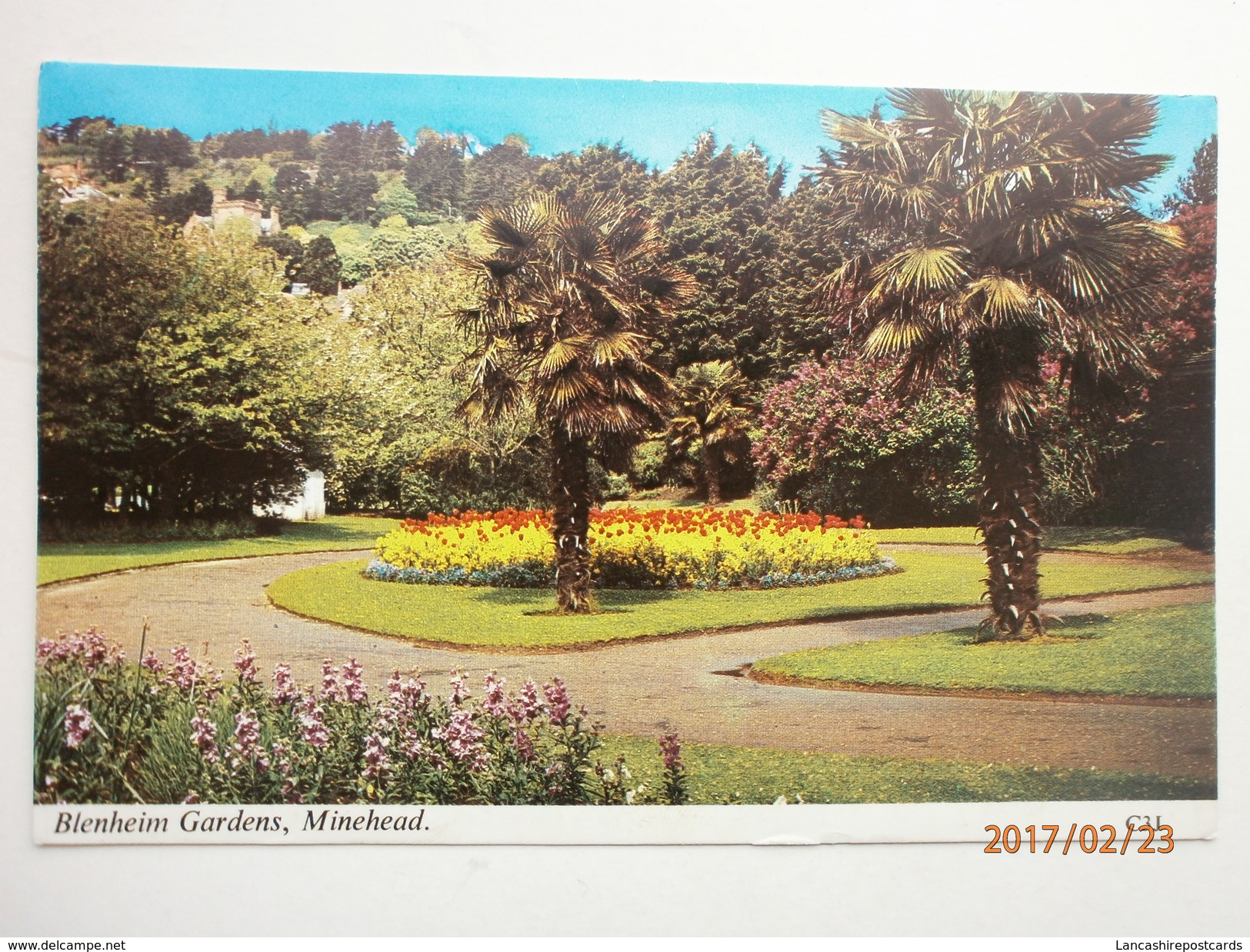 Postcard Blenheim Gardens Minehead My Ref B1864 - Minehead