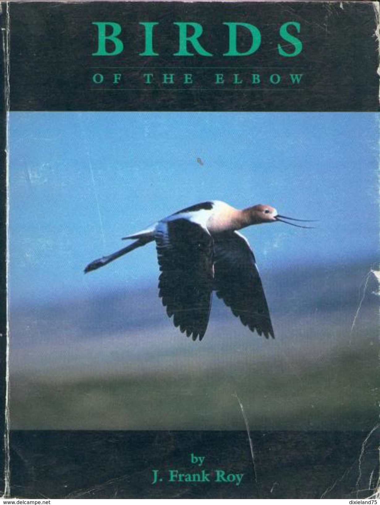 Birds Of The Elbow 1996 F. Roy BIRD OISEAU ORNITHOLOGIE Ecologie Animaux Nature Science - Vie Sauvage