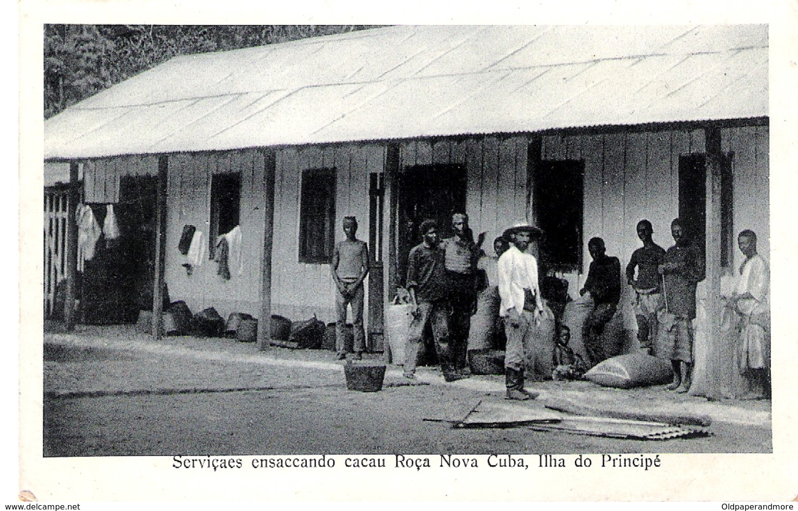 POSTCARD AFRICA SÃO TOME AND PRINCIPE - ENSACANDO CACAU , ROÇA NOVA CUBA  PRINCIPE CACAO - São Tomé Und Príncipe