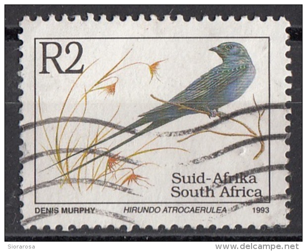 865 Sud Africa 1993 Uccelli Birds - Rondine Blu - Hirundo Atrocaerulea - Used  South Suid Afrika - Hirondelles