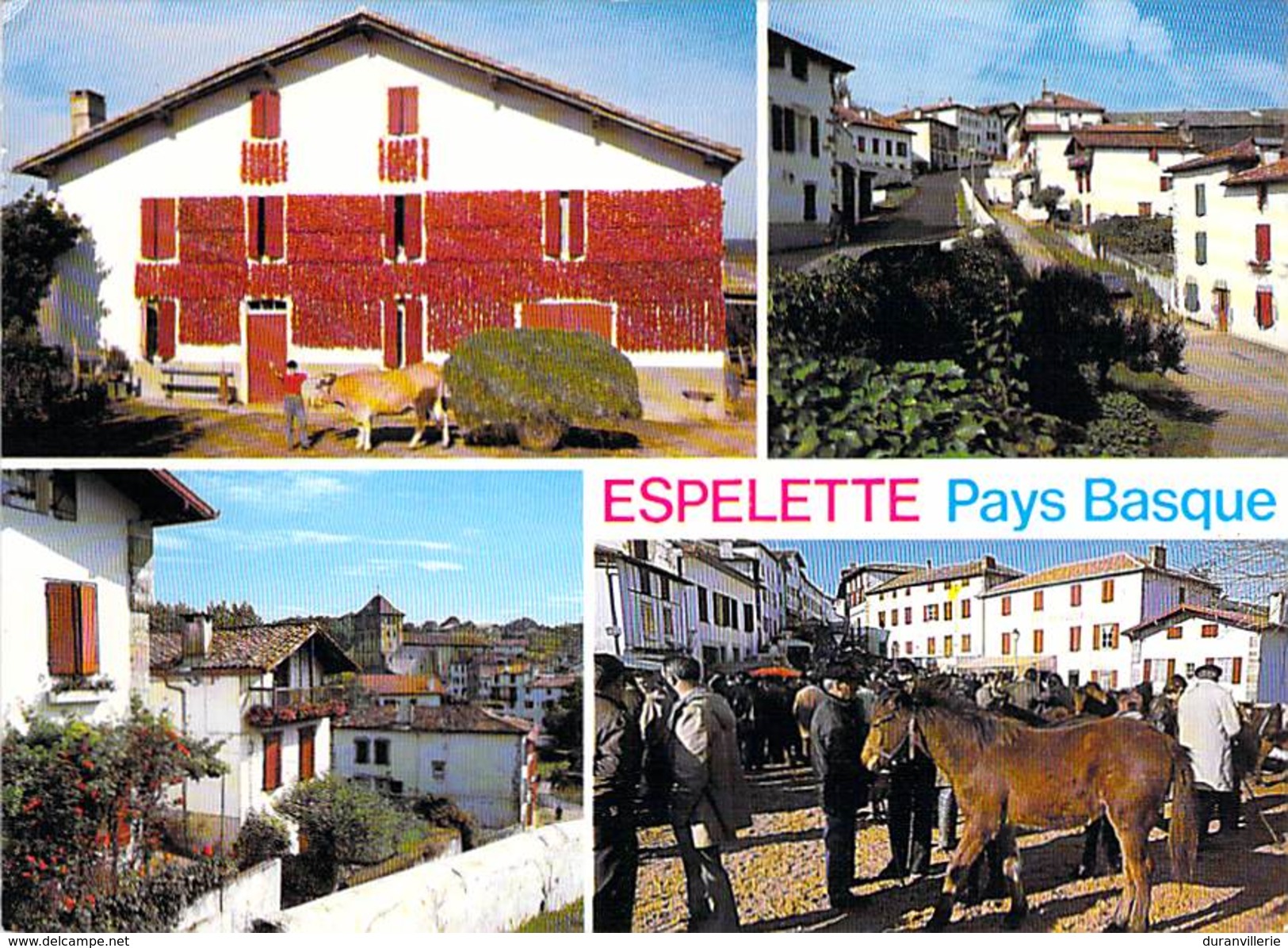 64 - ESPELETTE - Pays Basque - Vues Générales Séchage Des Piments - Foire Aux Pottoks - Espelette