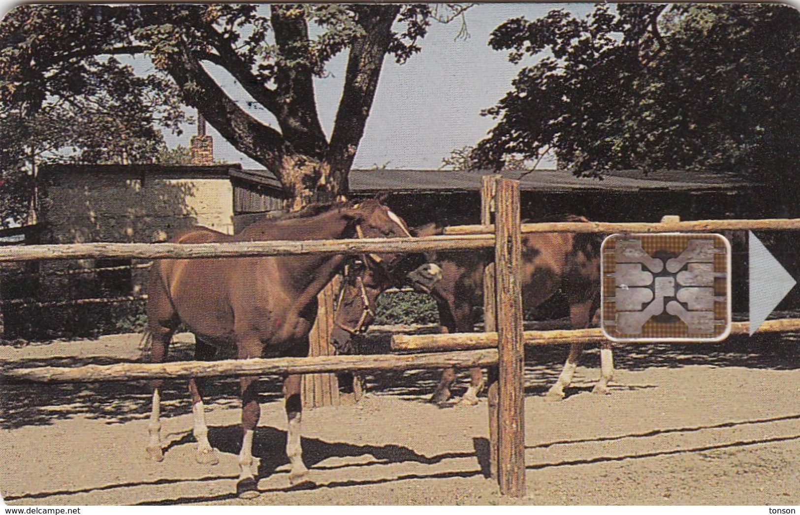 Czechoslovakia, CS-CSF-PUB-0018, Psychiatric Sanatorium - Bohnice, Horses,2 Scans.    Chip : SC5  SB - Cecoslovacchia