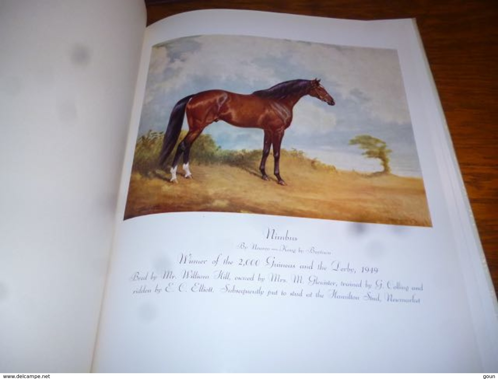 Top Livre A Hundred Horses By Juliet Mc Leod Nombreuses Gravures Dessins Chevaux - Cheval - Cultural