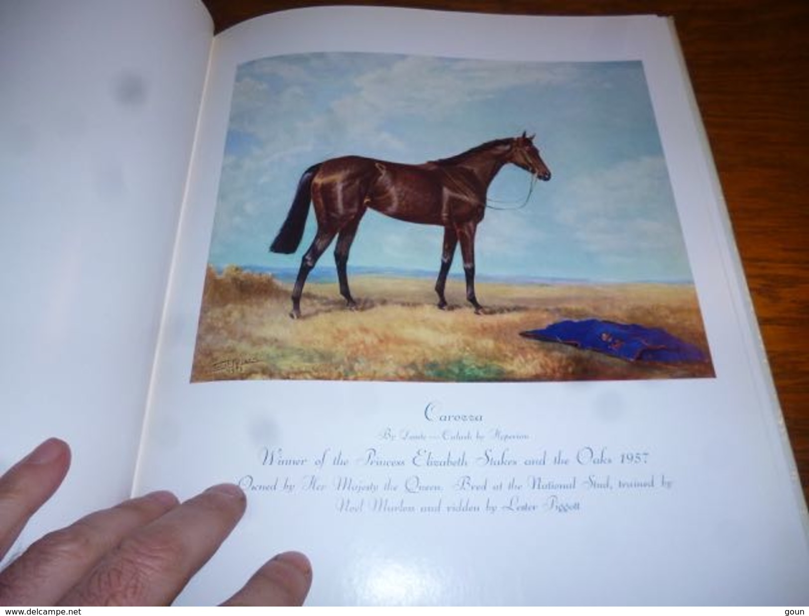 Top Livre A Hundred Horses By Juliet Mc Leod Nombreuses Gravures Dessins Chevaux - Cheval - Culture