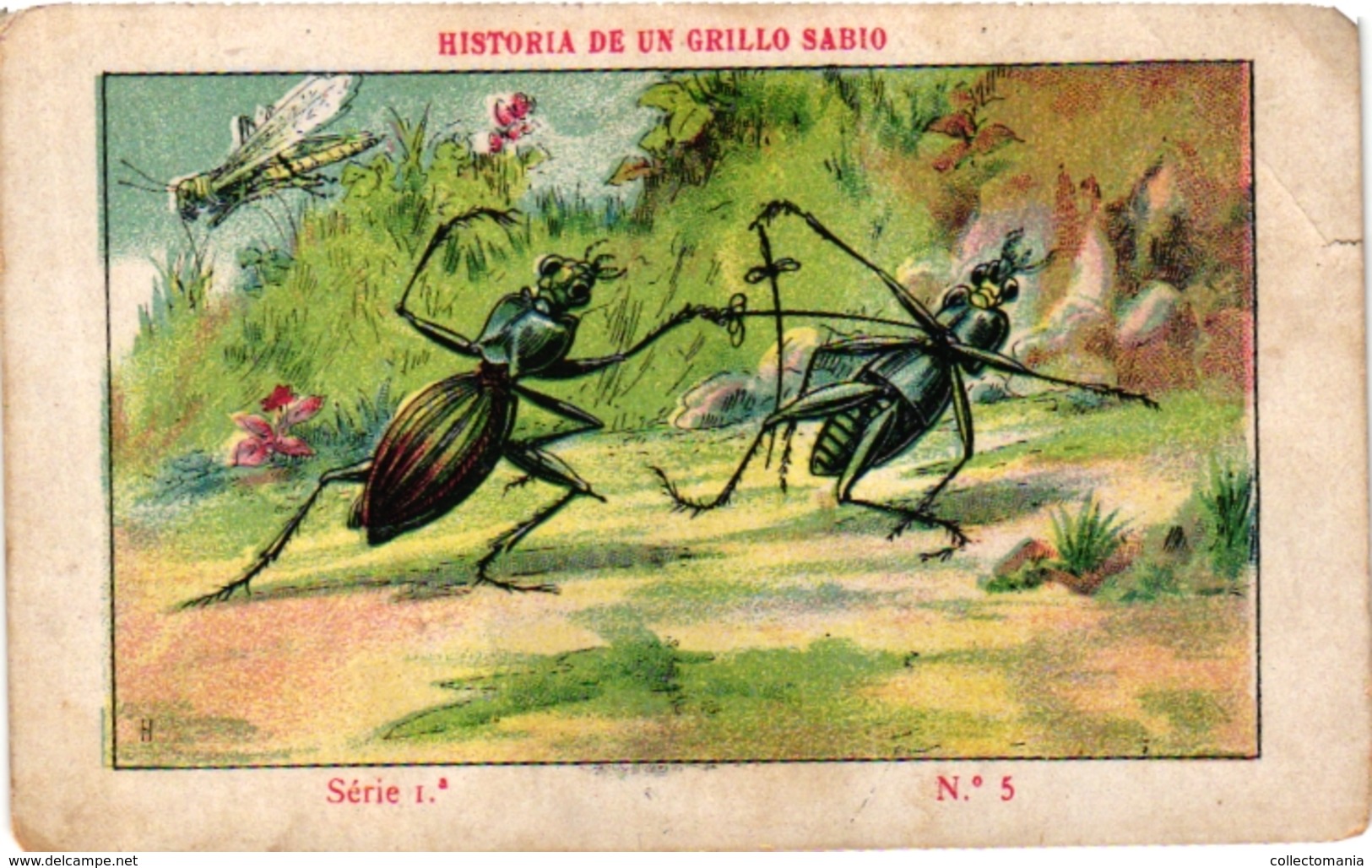 1Blotter Buvard 7 Trade Cards  FENCING ESCRIME FECHTEN  Pub Chocolates Jaime Boix Barcelona Olympia 1936 &1932 - Escrime