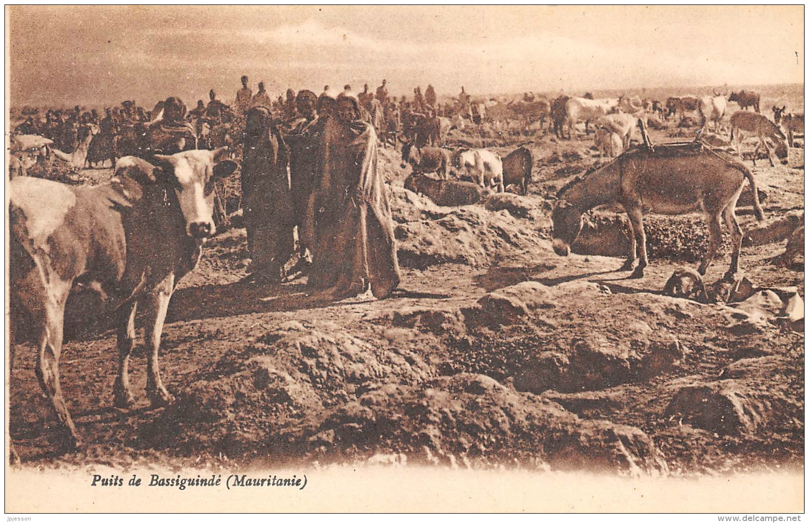 MAURITANIE   PUITS DE BASSIGUINDE - Mauritanie