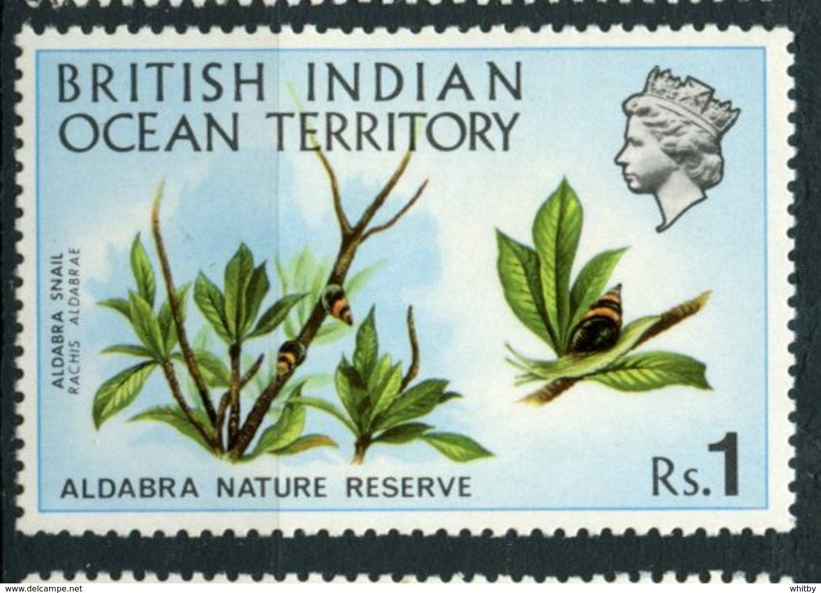 British Indian Ocean Territory 1971 1r Snail Issue  #41 MH - British Indian Ocean Territory (BIOT)