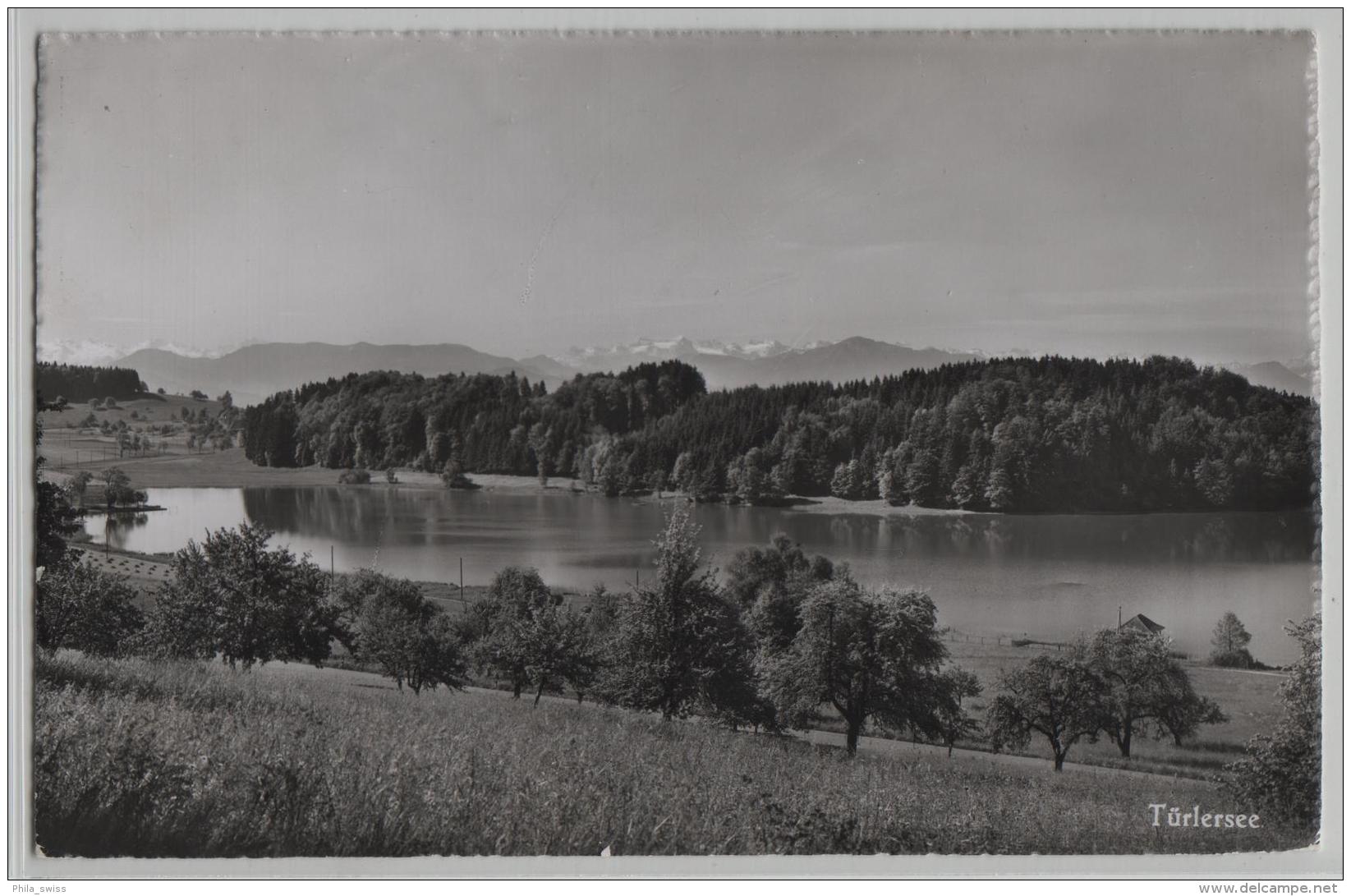 Türlersee - Gasthof Zum Türlersee Türlen Hausen A.A. - Stempel: Affolter SBB - Photo: Hugo Kopp - Hausen Am Albis 