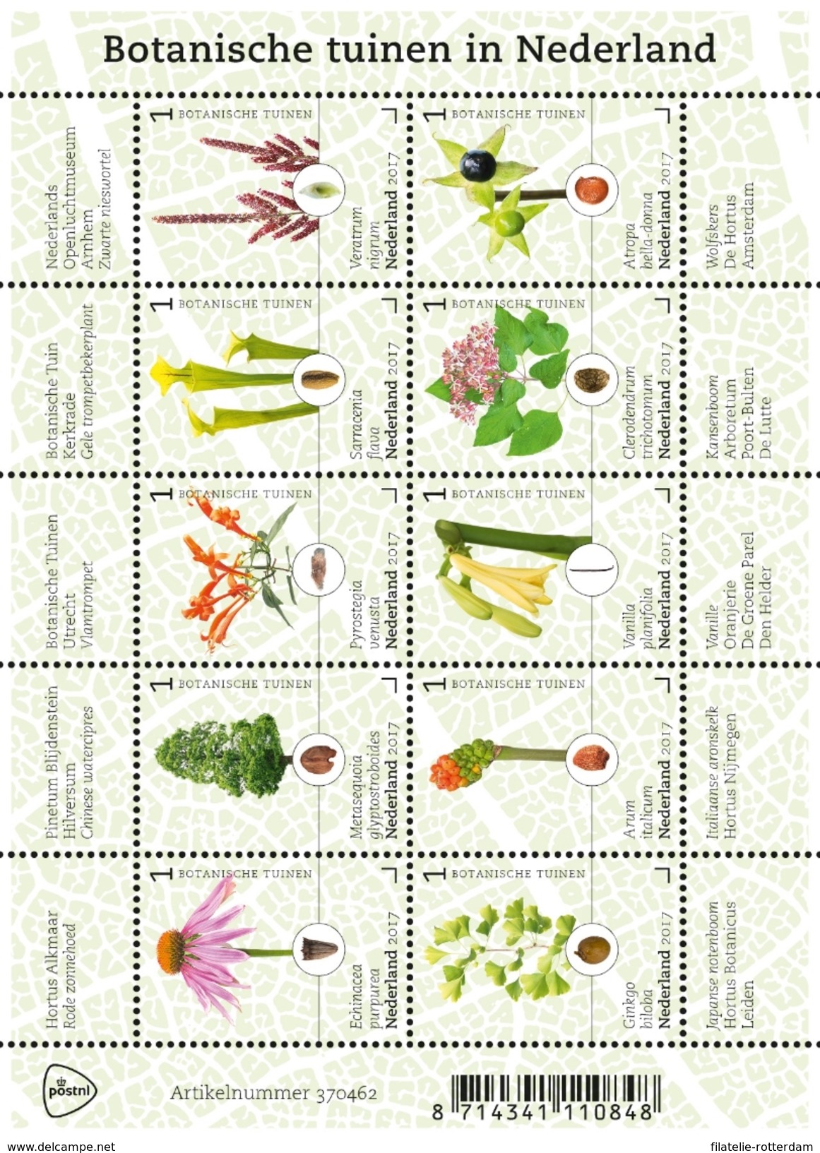 Nederland / The Netherlands - Postfris / MNH - Sheet Botanische Tuinen 2017 PRE-ORDER! - Nuevos