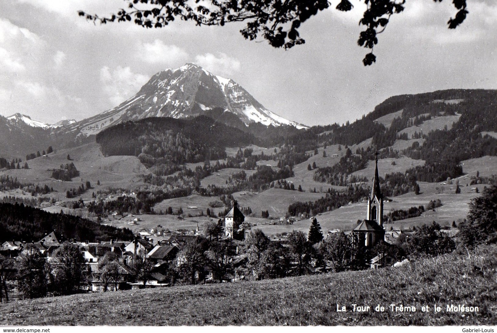 La Tour De Trême Et Le Moléson - La Tour-de-Trême