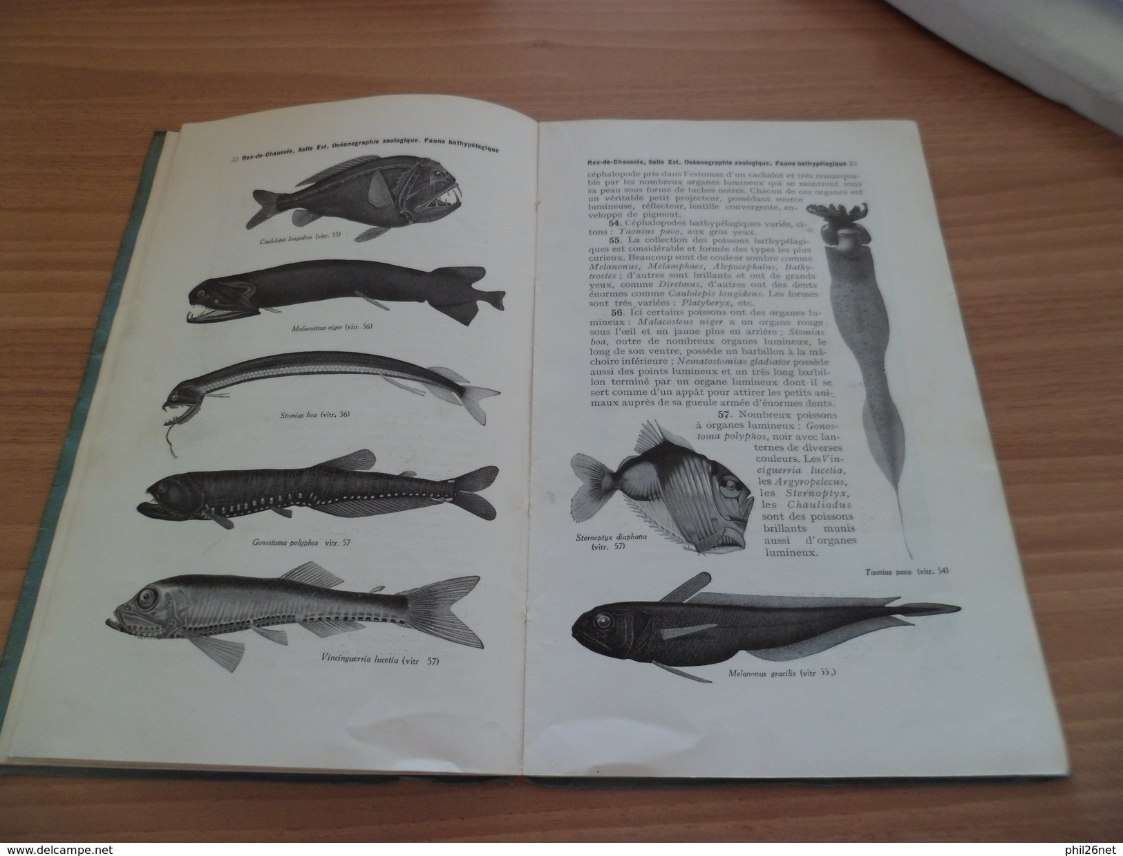 Guide Illustré Musée Océanographique & Aquarium de Monaco 1920 imp.Robaudy Cannes Photos: Seeberger-Giletta-Enrietti- TB