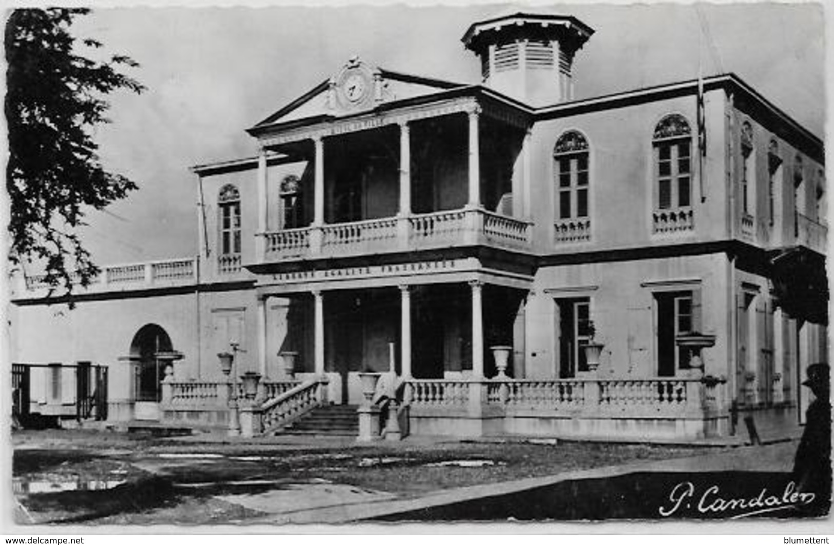 CPSM 9 X 14 Guadeloupe Colonies Françaises Circulé éditeur Candalen AG BIS Basse Terre - Basse Terre