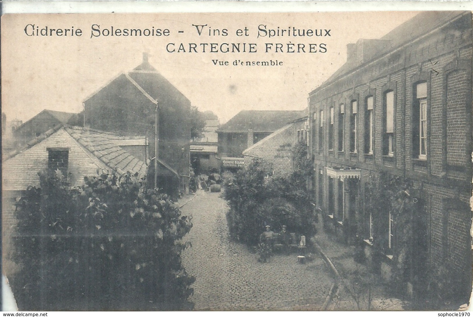 NORD - 59 - SOLESMES -Cidrerie Cartegnie Frères - Vue D'ensemble Petit Manque BG - Solesmes