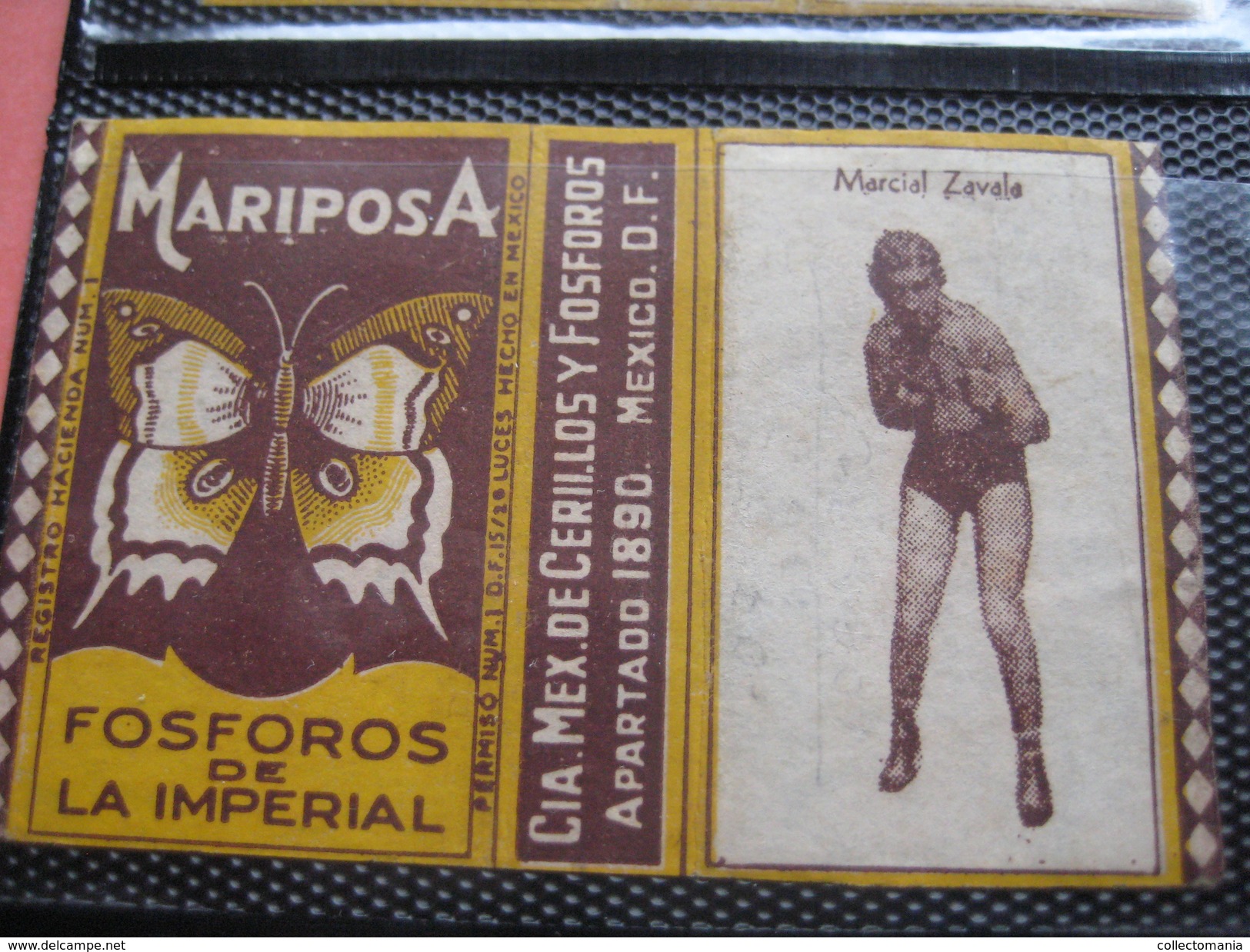 many cards, all photograped: photos, tradecards, cards, labels,  LUTTE 1907 poster stamp; Siam kick boxing ; ALBERT MAES