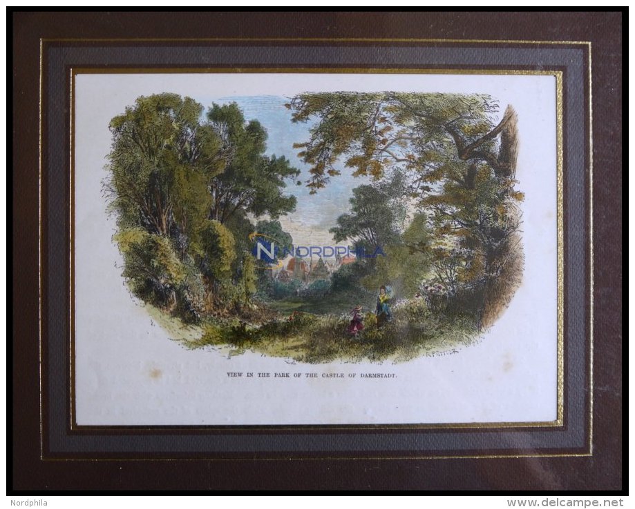 DARMSTADT: Partie Aus Dem Schlo&szlig;park, Kolorierter Holzstich Von P&uuml;ttner Um 1880 - Lithographies
