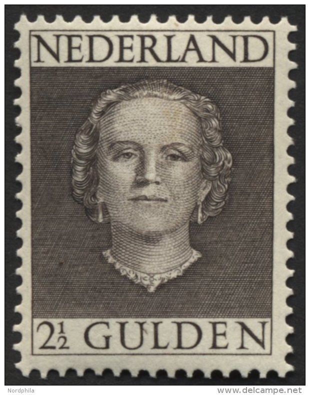 NIEDERLANDE 541 **, 1949, 21/2 G. Graubraun, Pracht, Mi. 200.- - Netherlands