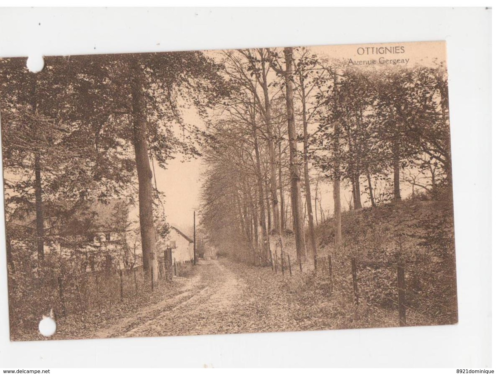 Ottignies - Avenue Gergeay - Ed. V. Ghenne - Ottignies-Louvain-la-Neuve