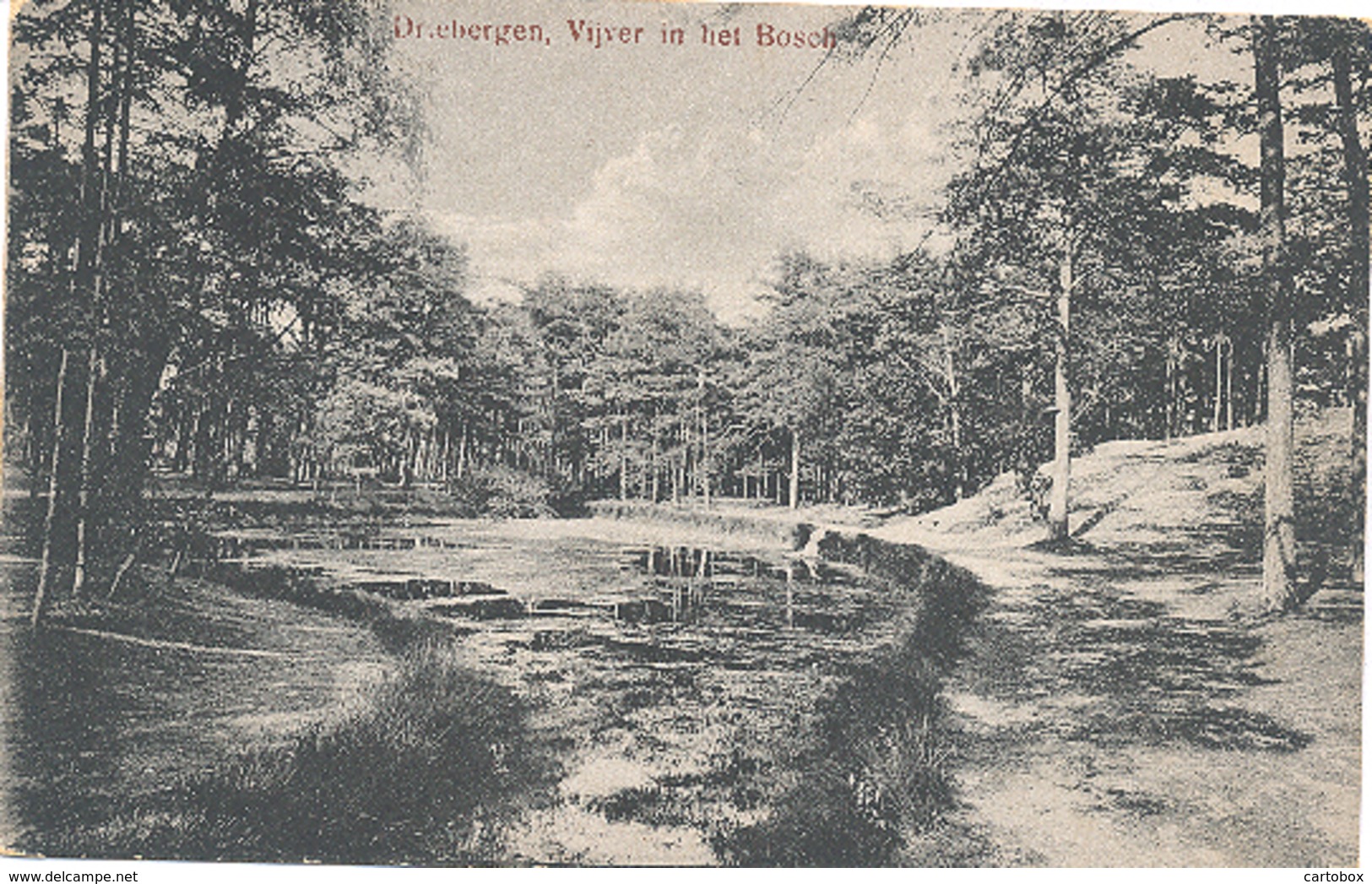 Driebergen,  Vijver In Het Bosch    (Zeist) - Driebergen – Rijsenburg