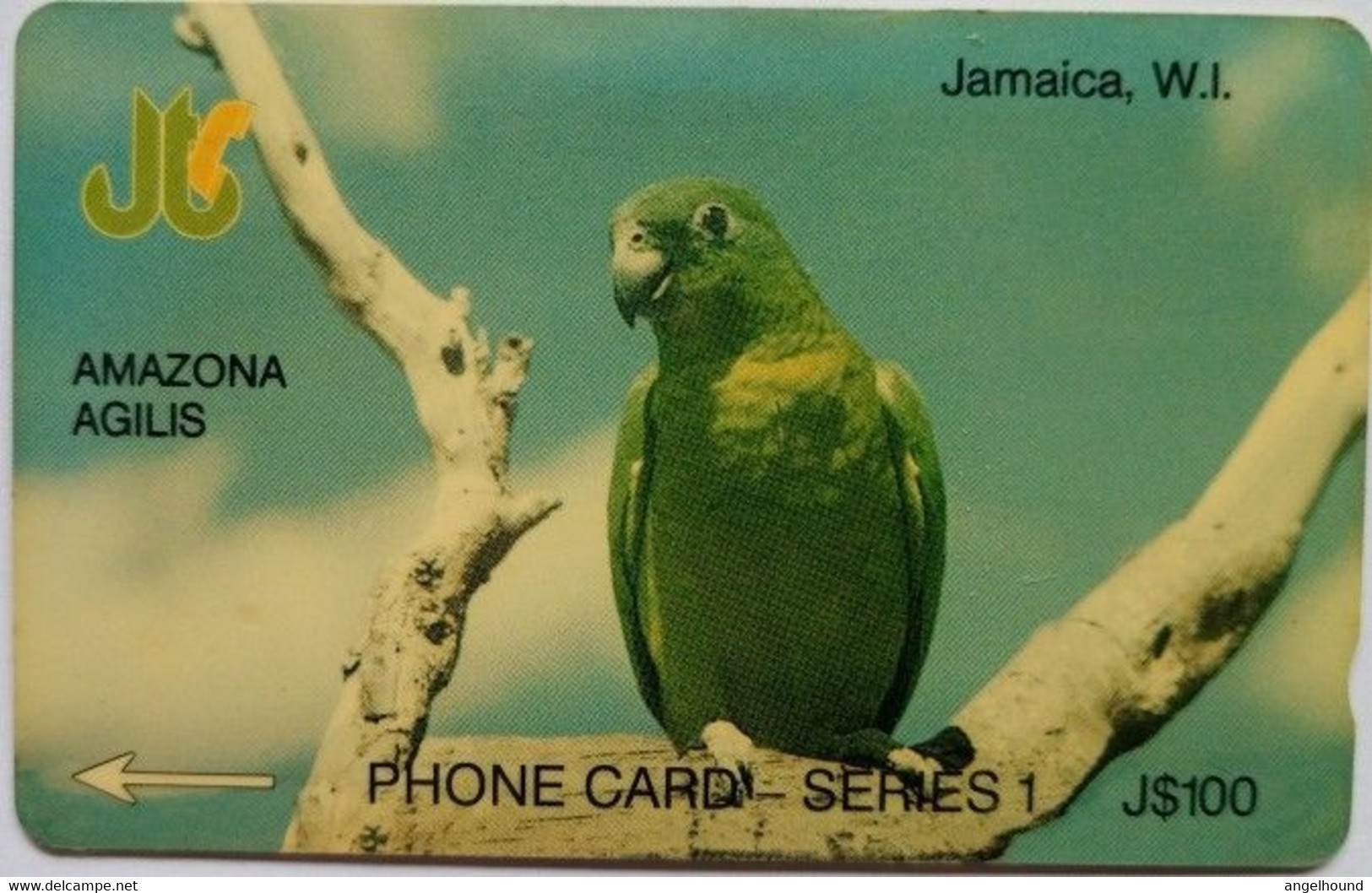 Jamaica J$100 13JAMD "  Amazona Agilis " - Jamaïque